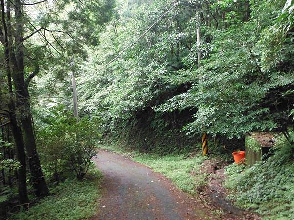 東四崁水山.四崁水山.文大華林植物園.高麗坑山.新高麗坑山 113