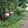 東四崁水山.四崁水山.文大華林植物園.高麗坑山.新高麗坑山 114