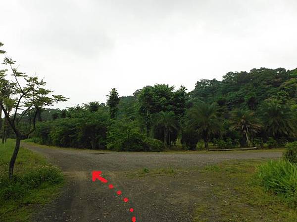 東四崁水山.四崁水山.文大華林植物園.高麗坑山.新高麗坑山 124