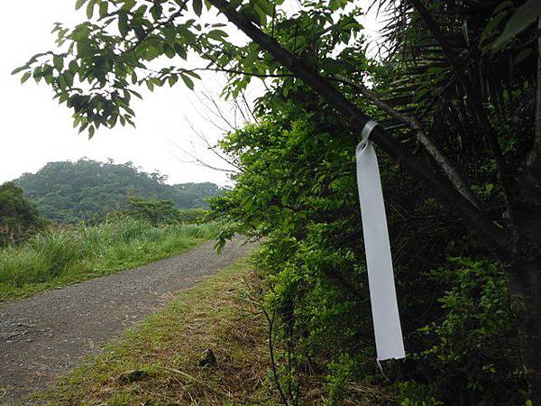 東四崁水山.四崁水山.文大華林植物園.高麗坑山.新高麗坑山 125