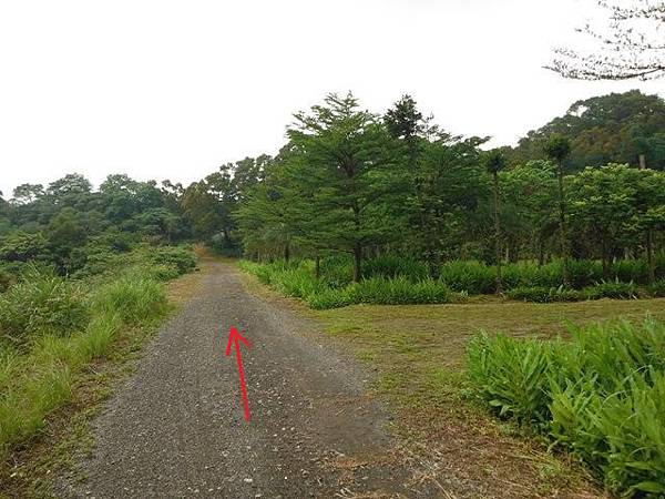 東四崁水山.四崁水山.文大華林植物園.高麗坑山.新高麗坑山 126