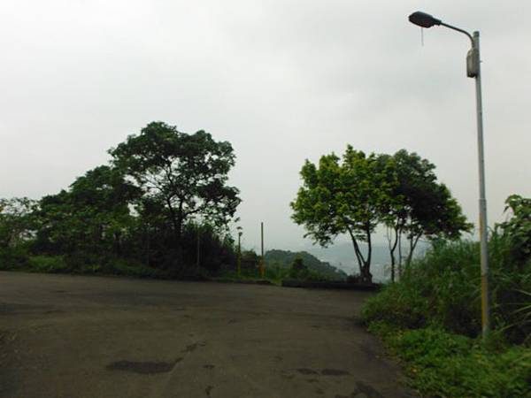 東四崁水山.四崁水山.文大華林植物園.高麗坑山.新高麗坑山 131