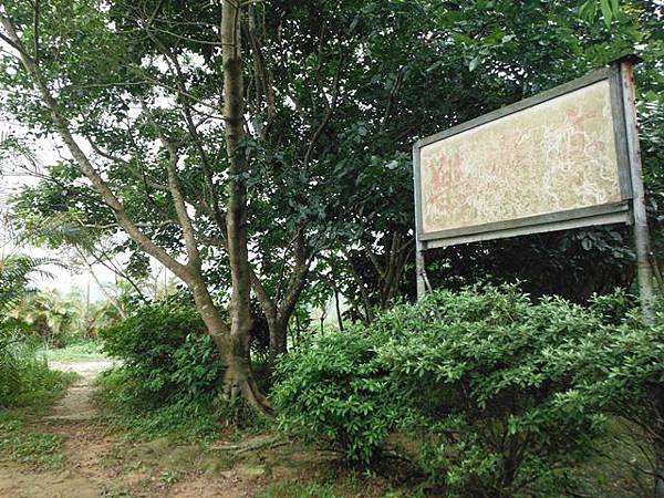 東四崁水山.四崁水山.文大華林植物園.高麗坑山.新高麗坑山 140