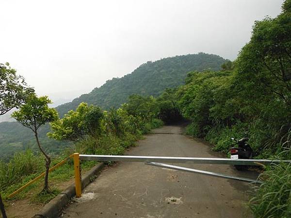 東四崁水山.四崁水山.文大華林植物園.高麗坑山.新高麗坑山 144