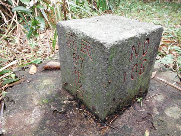 東四崁水山.四崁水山.文大華林植物園.高麗坑山.新高麗坑山 188