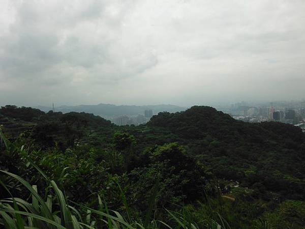 東四崁水山.四崁水山.文大華林植物園.高麗坑山.新高麗坑山 197