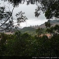 大茅埔山 044.JPG