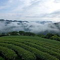 八天七夜機車環島2 009