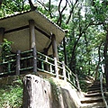 龍鳳巖登山步道.長道坑山.台北市歷史建築日新國小 046