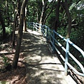 龍鳳巖登山步道.長道坑山.台北市歷史建築日新國小 047