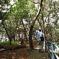 龍鳳巖登山步道.長道坑山.台北市歷史建築日新國小 048
