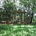 龍鳳巖登山步道.長道坑山.台北市歷史建築日新國小 051