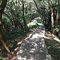 龍鳳巖登山步道.長道坑山.台北市歷史建築日新國小 053