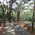 龍鳳巖登山步道.長道坑山.台北市歷史建築日新國小 066