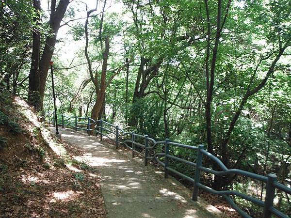 龍鳳巖登山步道.長道坑山.台北市歷史建築日新國小 075