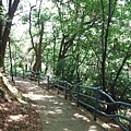 龍鳳巖登山步道.長道坑山.台北市歷史建築日新國小 075