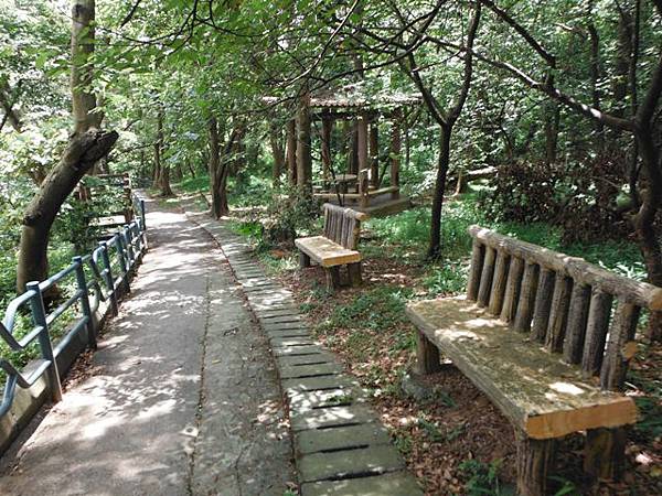 龍鳳巖登山步道.長道坑山.台北市歷史建築日新國小 076