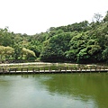 龍鳳巖登山步道.長道坑山.台北市歷史建築日新國小 103