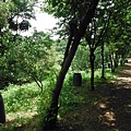 龍鳳巖登山步道.長道坑山.台北市歷史建築日新國小 106