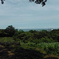 龍鳳巖登山步道.長道坑山.台北市歷史建築日新國小 107