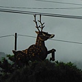 八天七夜機車環島 174