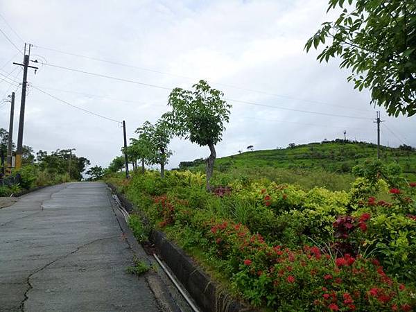 八天七夜機車環島2 1352