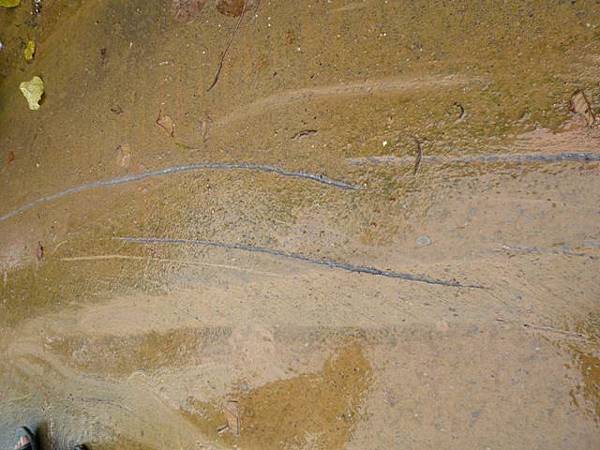 八天七夜機車環島2 1426