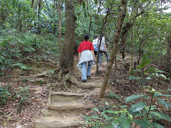 富陽自然生態公園.福州山 016