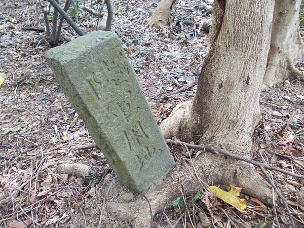 富陽自然生態公園.福州山 020