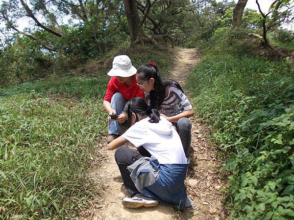 富陽自然生態公園.福州山 032