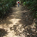 富陽自然生態公園.福州山 038