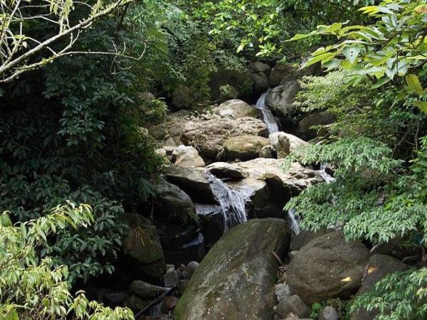 三峽蟾蜍山(畚箕湖山) 003