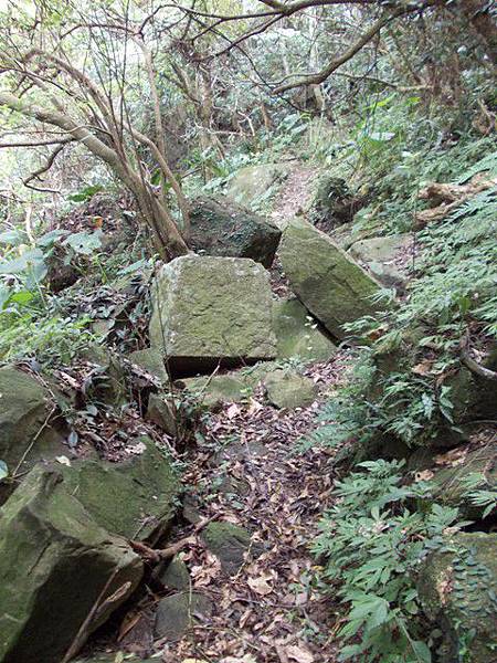 三峽蟾蜍山(畚箕湖山) 086