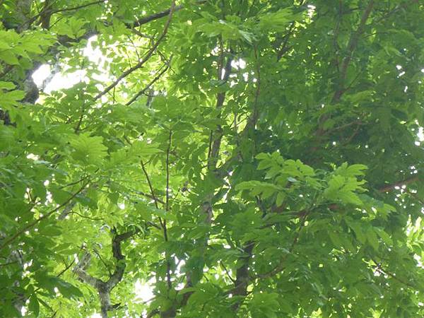 八天七夜機車環島2 1534