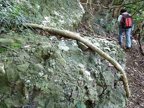 八天七夜機車環島2 1681
