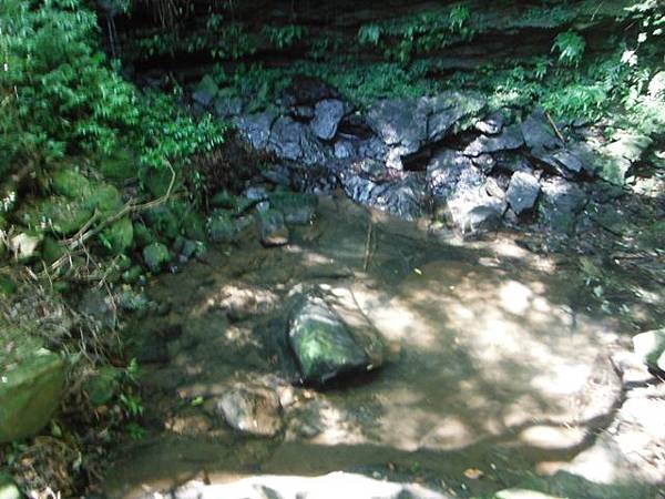 汐止小坑頭山.上鹿窟崙 045