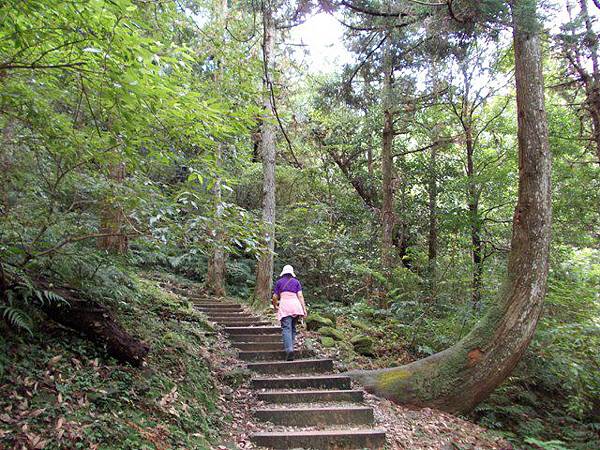 東眼山.基國派老教堂 131