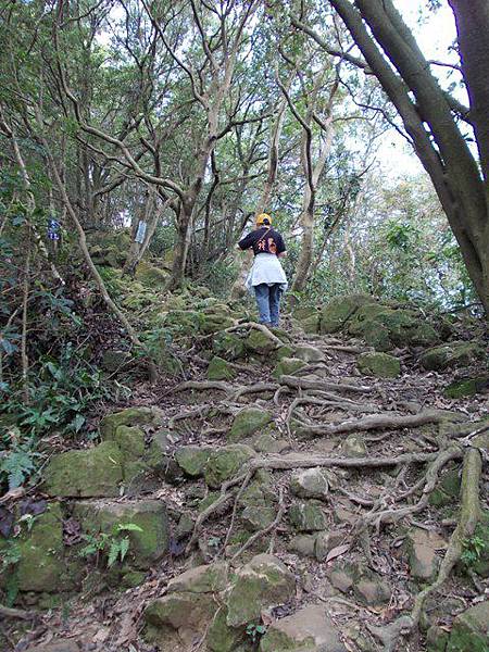 大溪李騰芳古宅.桃園石門山.太平山 138