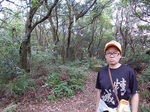 大溪李騰芳古宅.桃園石門山.太平山 190