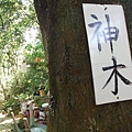 挖仔山.南勢角山.烘爐地福德宮 024