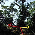 挖仔山.南勢角山.烘爐地福德宮 037