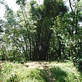 挖仔山.南勢角山.烘爐地福德宮 041