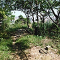 挖仔山.南勢角山.烘爐地福德宮 045