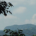 挖仔山.南勢角山.烘爐地福德宮 054