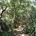 挖仔山.南勢角山.烘爐地福德宮 056