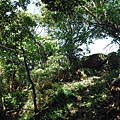 挖仔山.南勢角山.烘爐地福德宮 057