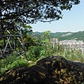 挖仔山.南勢角山.烘爐地福德宮 058