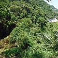 挖仔山.南勢角山.烘爐地福德宮 078
