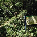 挖仔山.南勢角山.烘爐地福德宮 080