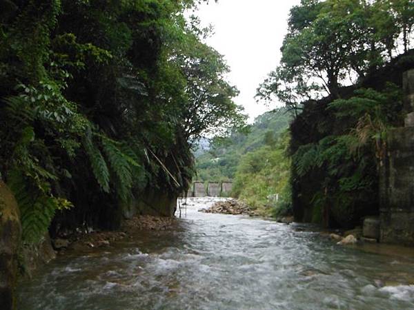 鵠鵠崙.東山瀑布.石門峽谷 094